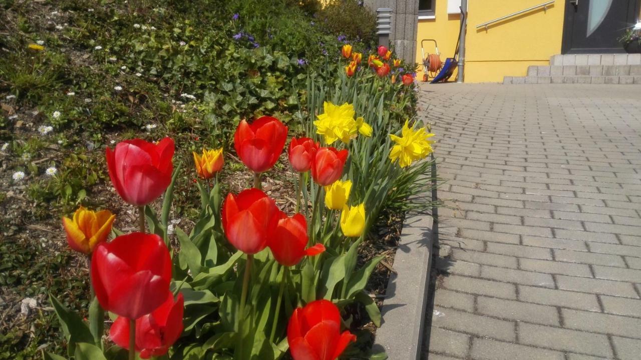 Ferienwohnung Oberpfannenstiel Bernsbach Exteriör bild